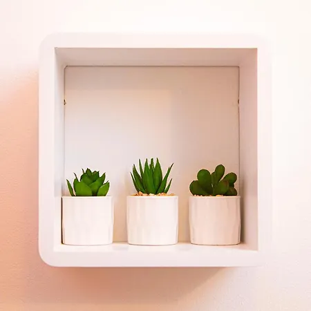 Silver Tree Apartment
